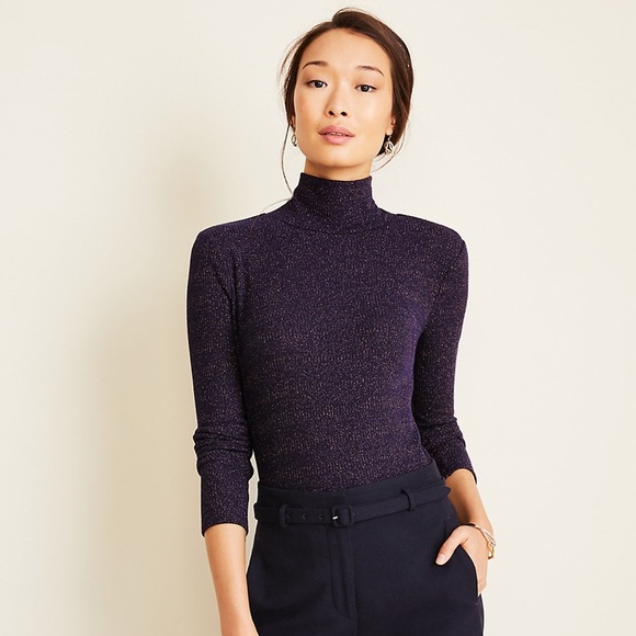 Ann Taylor Sweaters - Ann Taylor Shimmer Ribbed Turtle Neck